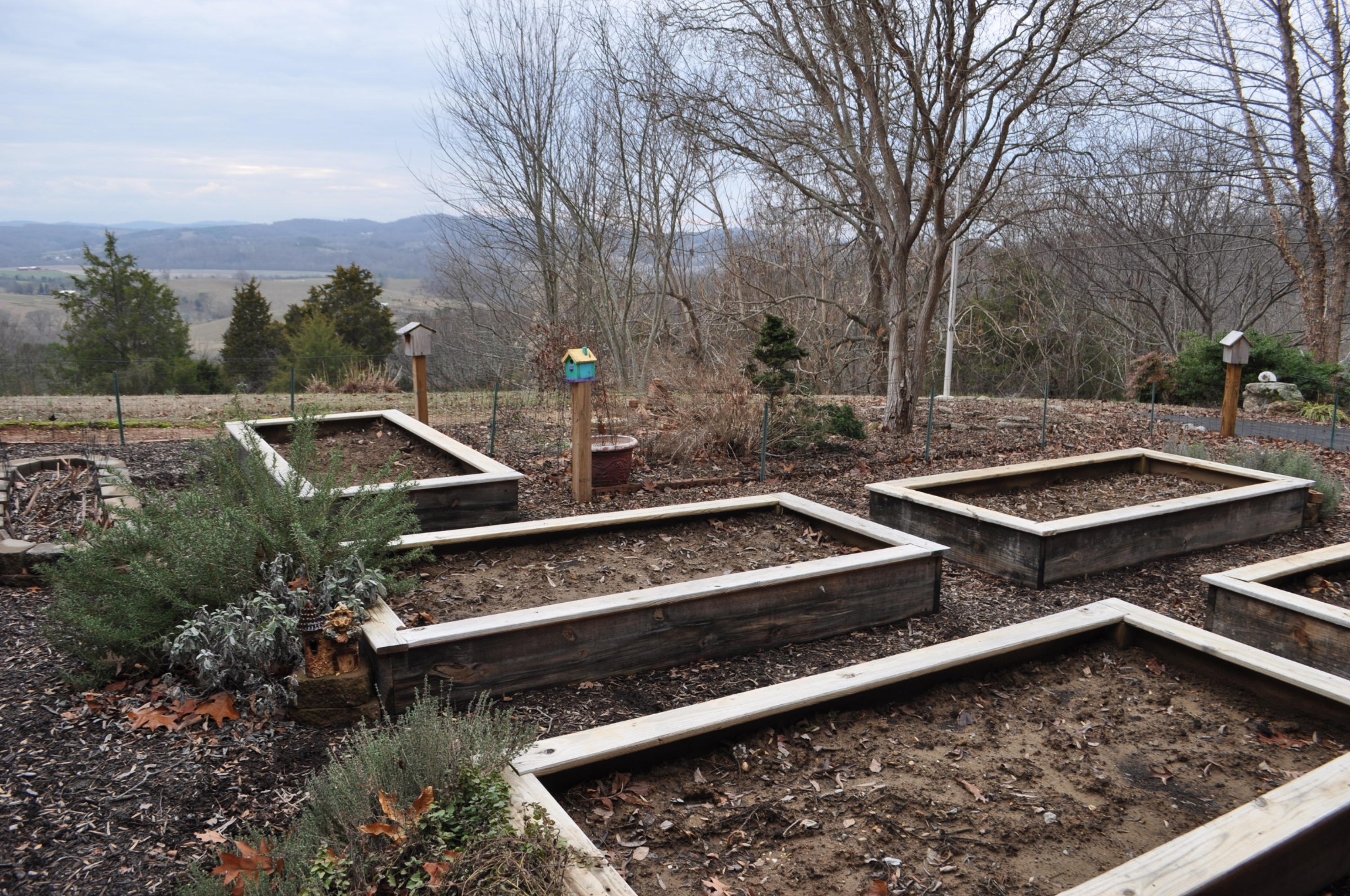 400 Burkhart Road Rutledge, TN 37861 - Photo 8 of 33 a view of a chairs and table on the terrace