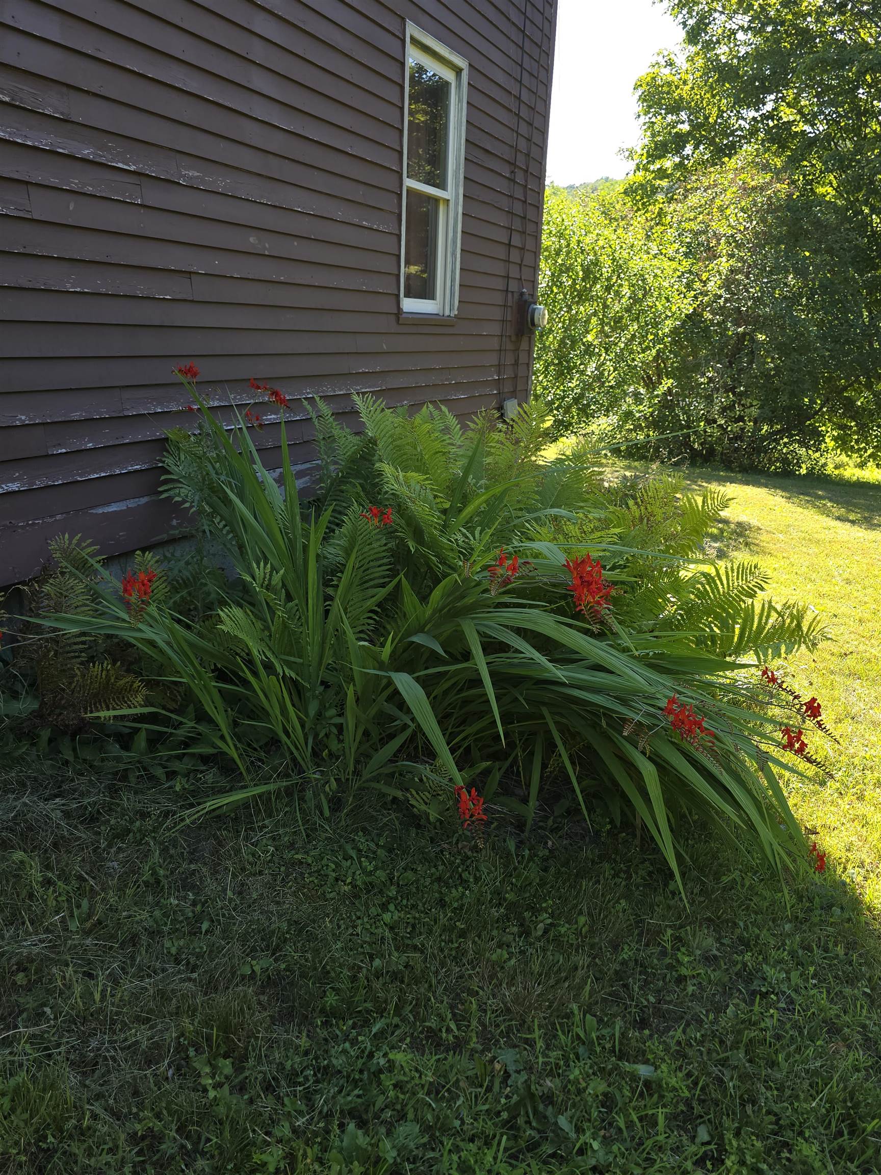 266 Robillard Road Stamford, VT 05352 - Photo 3 of 20 Gallery Image 3