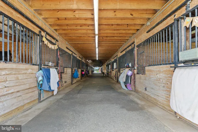 a view of a backyard of a house