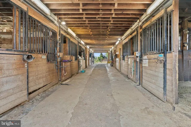 a view of a big room with a big yard and potted plants