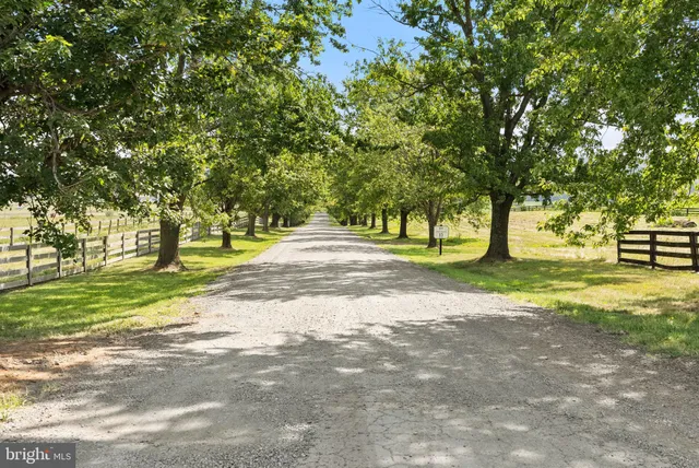 a view of road with trees