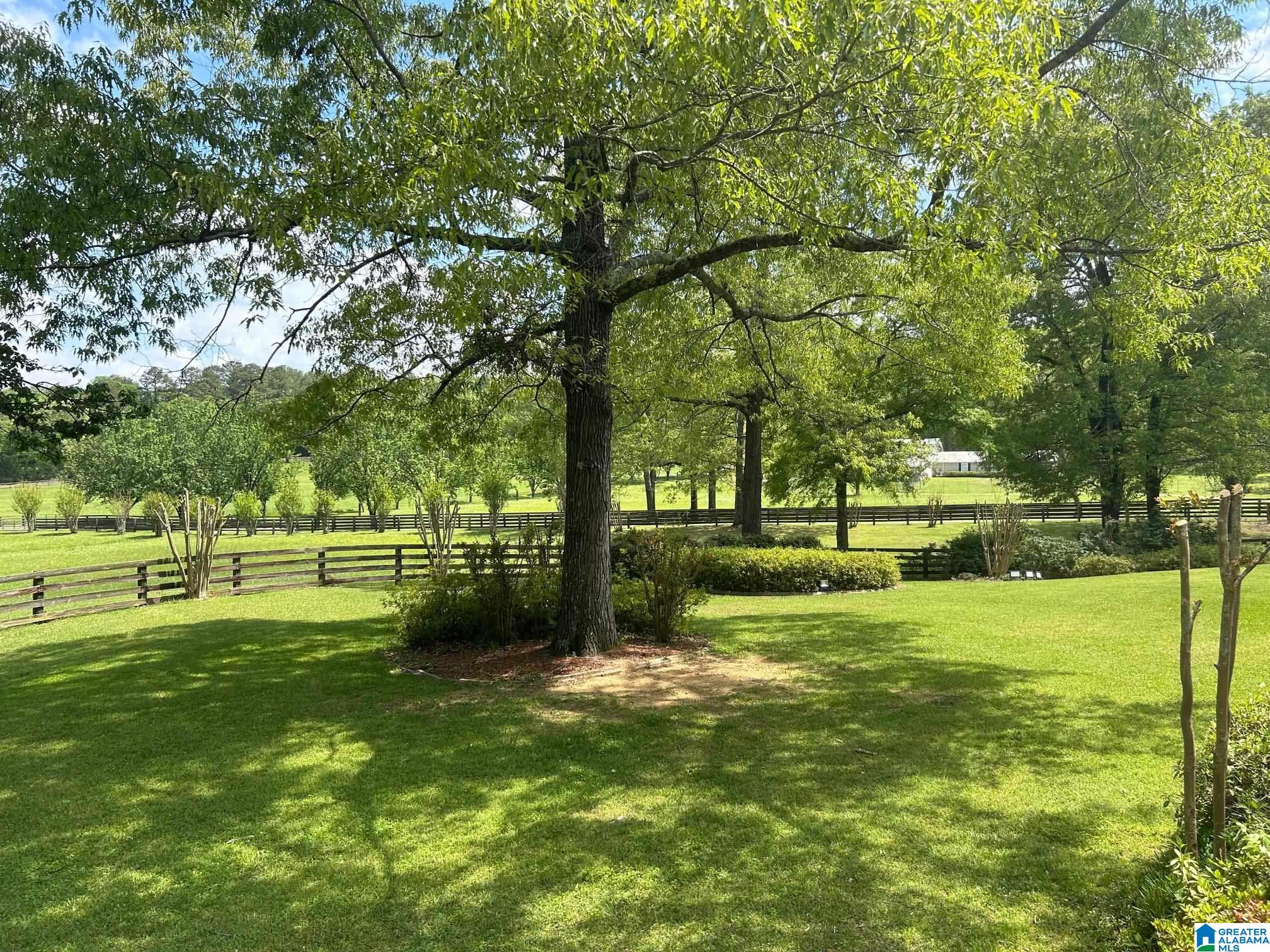 10415 Lowimoore Road Alexandria, AL 36250 - Photo 66 of 90