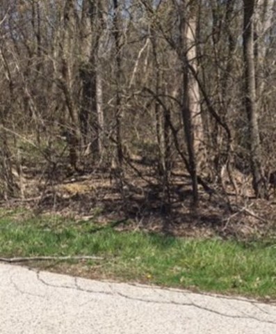 Lot 14 Memory Trail McHenry, IL 60050 - Photo 2 of 2