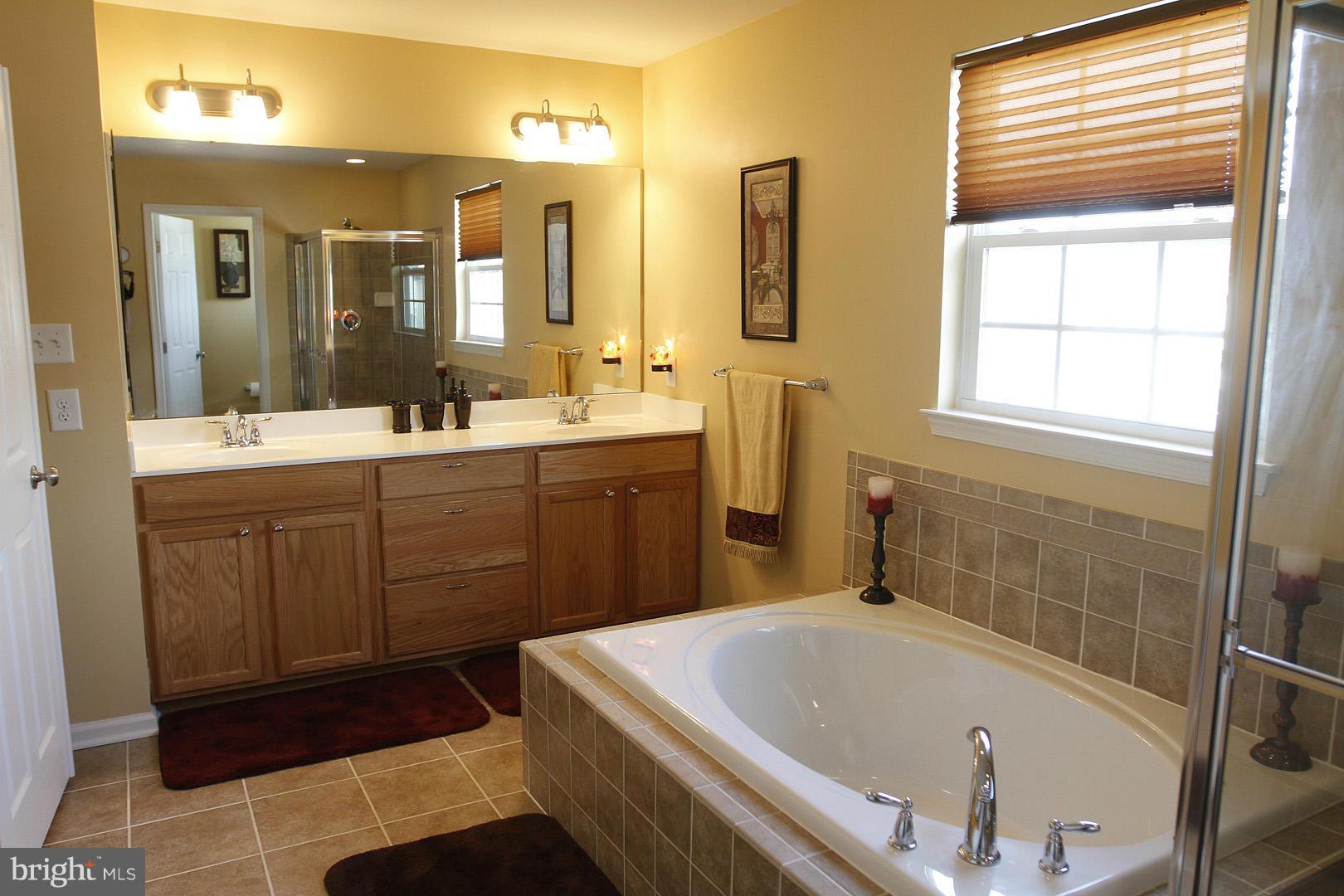5502 Doubs Road Adamstown, MD 21710 - Photo 16 of 30 Bath (Master)