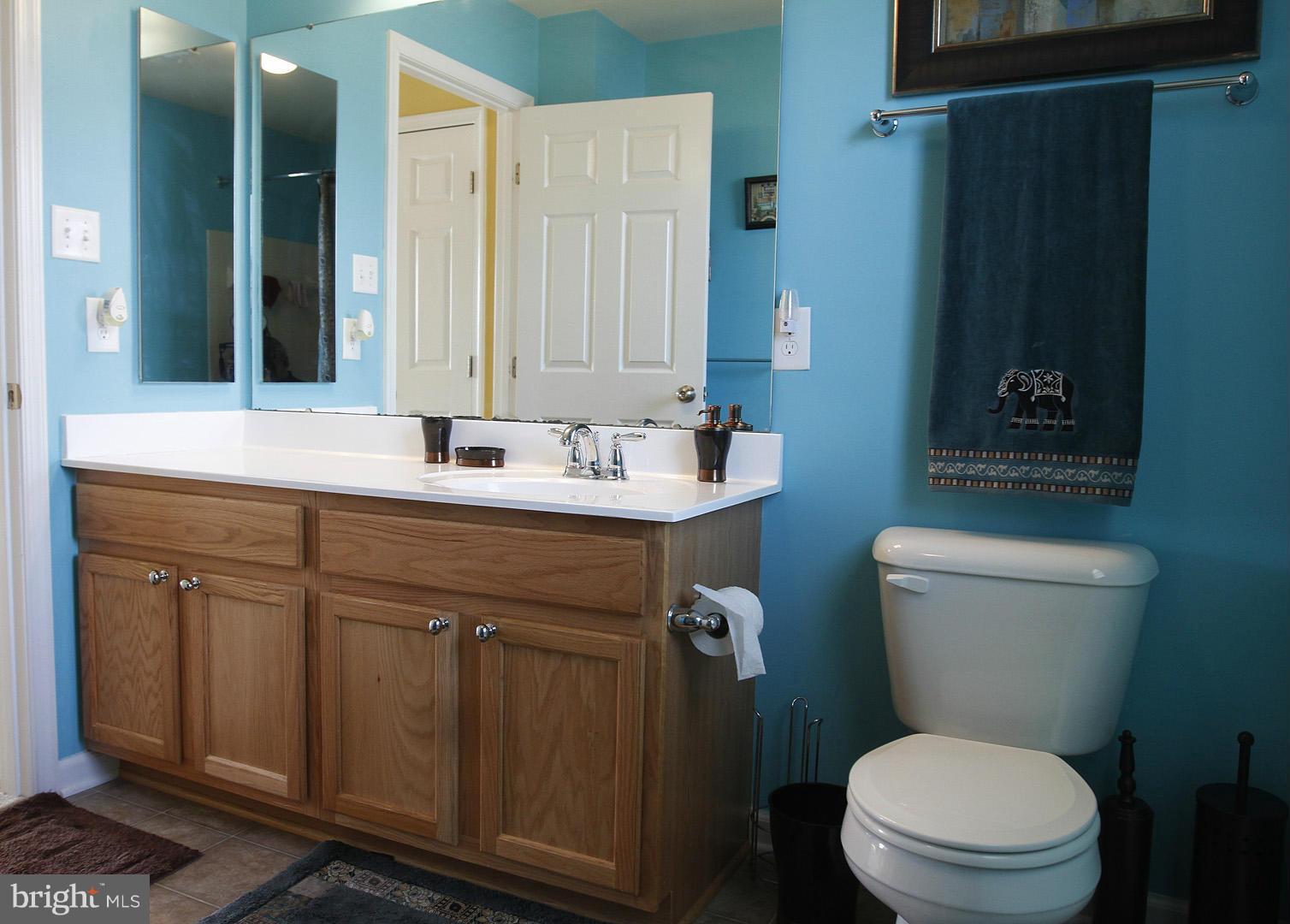 5502 Doubs Road Adamstown, MD 21710 - Photo 17 of 30 Bath