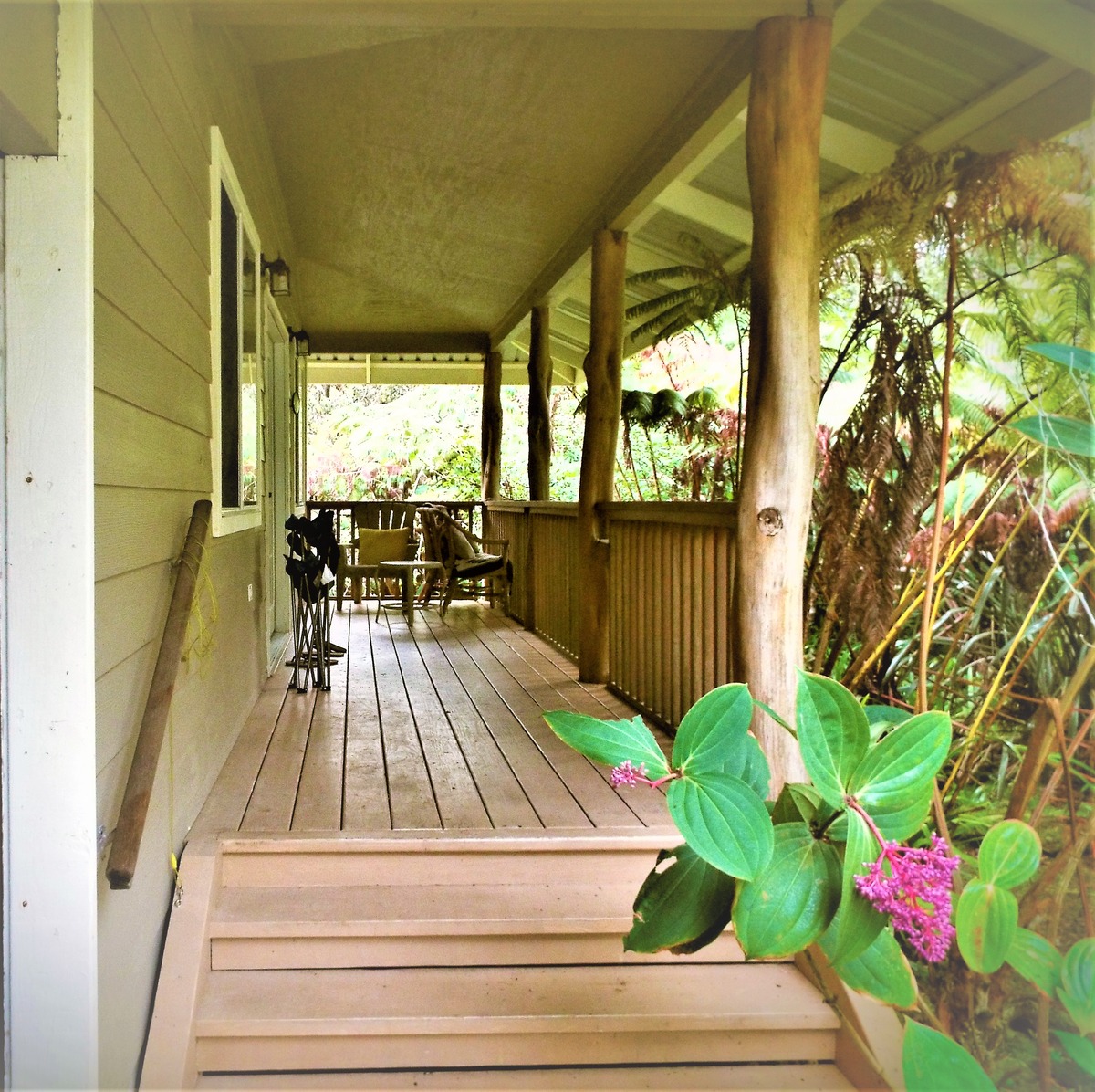 11-3761 3rd Street Volcano, HI 96785 - Photo 1 of 29 Gallery Image 1