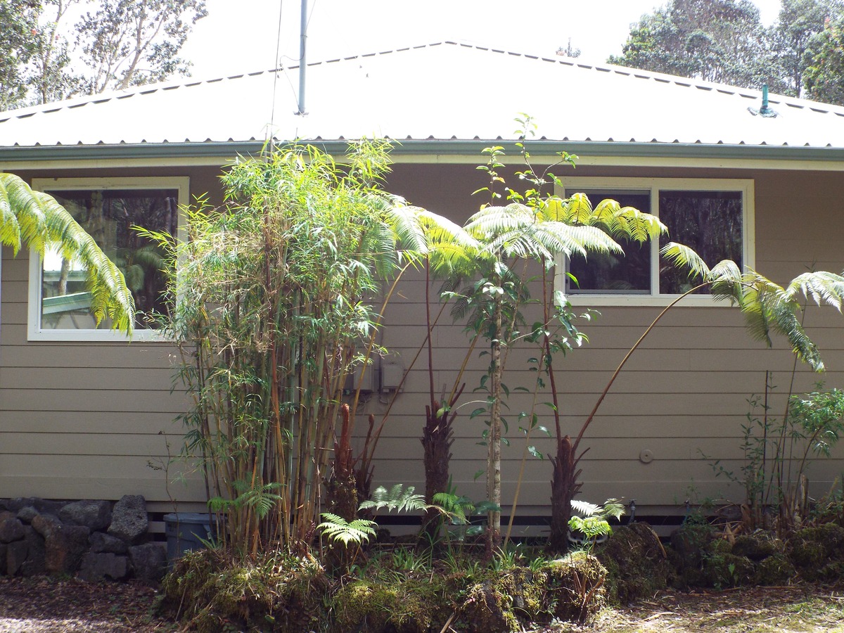 11-3761 3rd Street Volcano, HI 96785 - Photo 13 of 29 Gallery Image 13