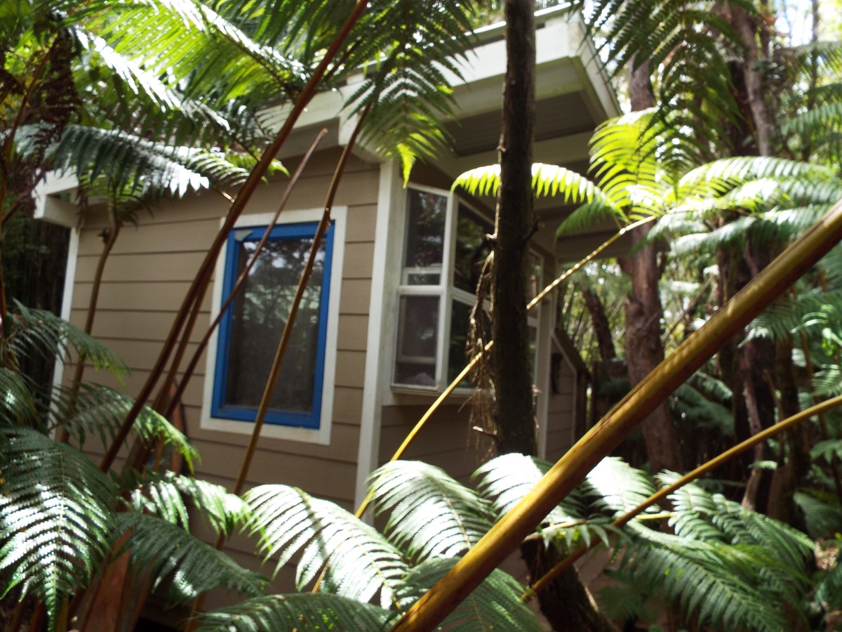 11-3761 3rd Street Volcano, HI 96785 - Photo 17 of 29 Gallery Image 17