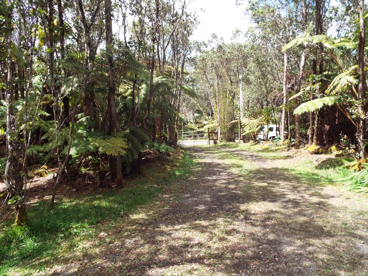 11-3761 3rd Street Volcano, HI 96785 - Photo 18 of 29 Gallery Image 18