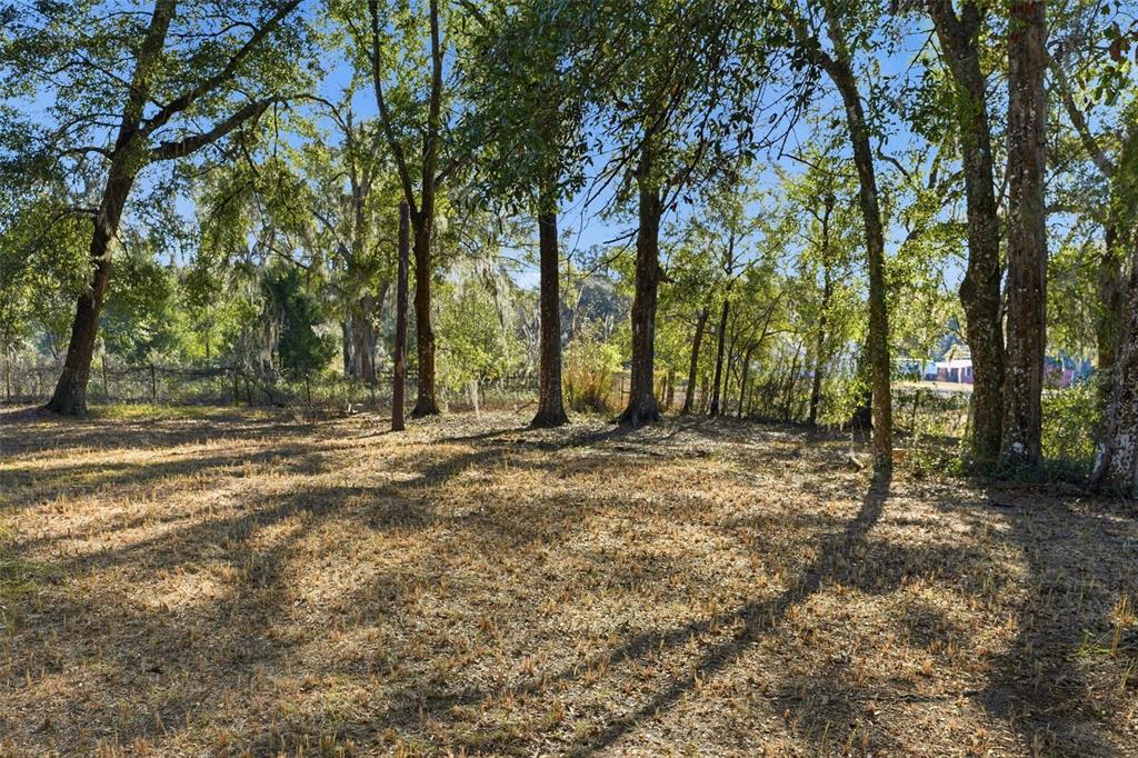 25256 Richbarn Road Brooksville, FL 34601 - Photo 29 of 32 a view of outdoor space with trees