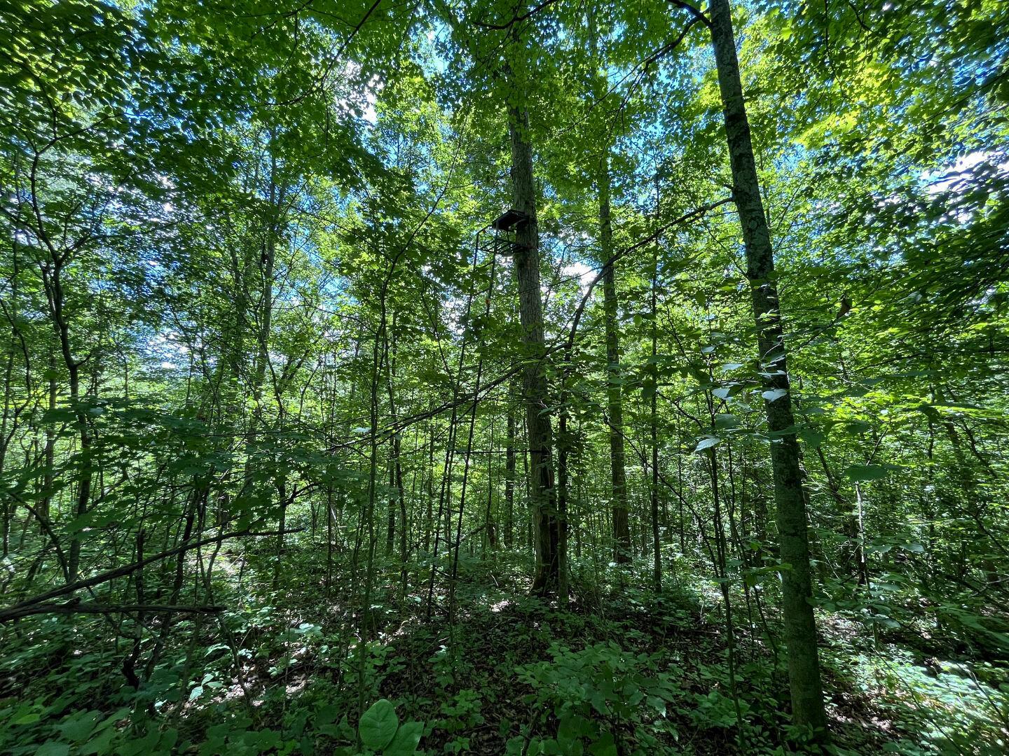 0 Water Works Hill Road Glouster, OH 45732 - Photo 19 of 35 18