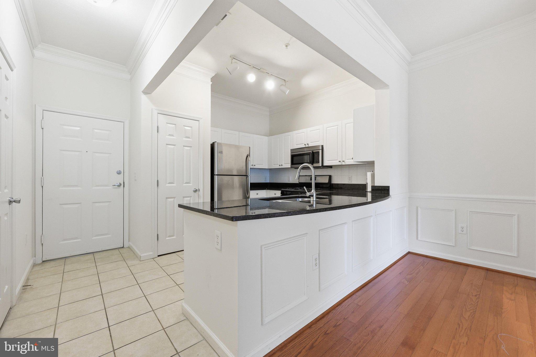 7 Booth Street, Unit 110 Gaithersburg, MD 20878 - Photo 4 of 50 Gorgious black stone counter tops