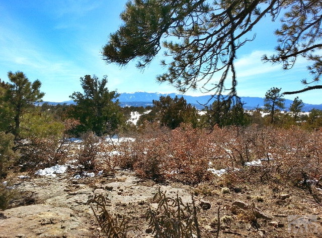 6090 South Waterbarrel Road Beulah, CO 81023 - Photo 1 of 1