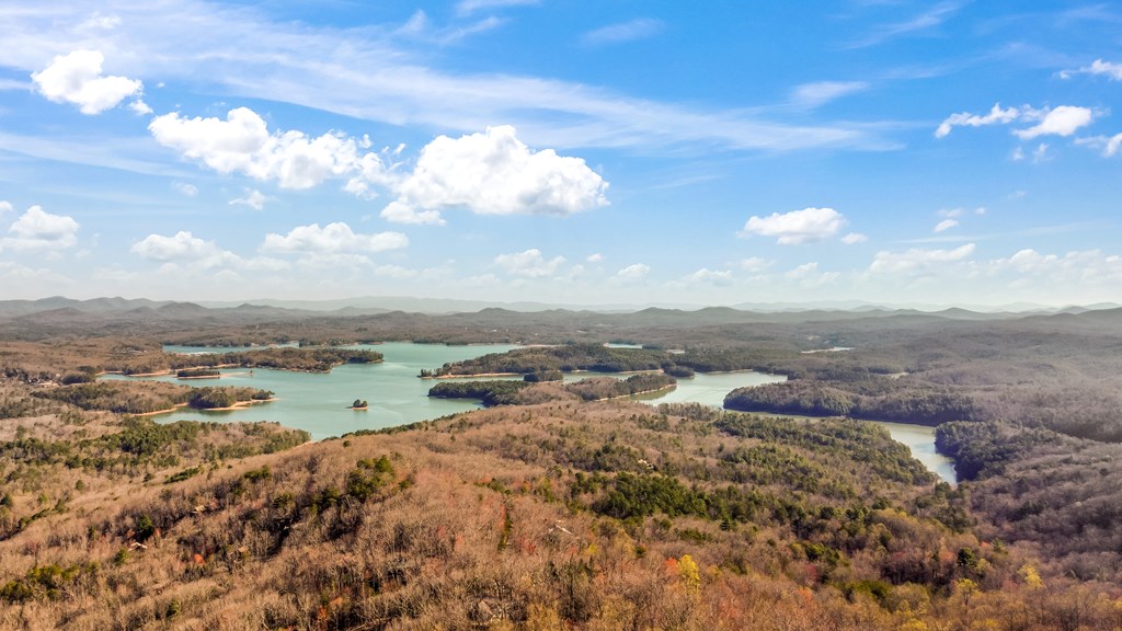 368 Green Ridge Mountain Blue Ridge, GA 30513 - Photo 6 of 64 Gallery Image 6