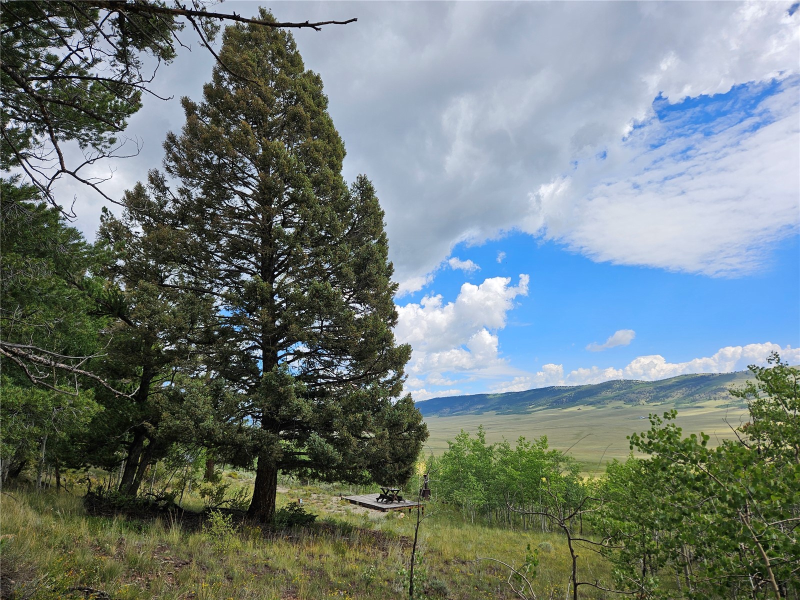 3062 Redhill Road Fairplay, CO 80440 - Photo 38 of 47 Gallery Image 38