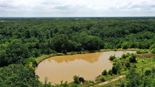a view of a lake in middle of forest