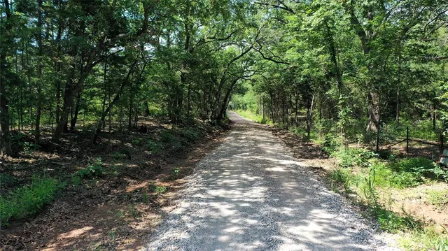 a view of outdoor space and trees