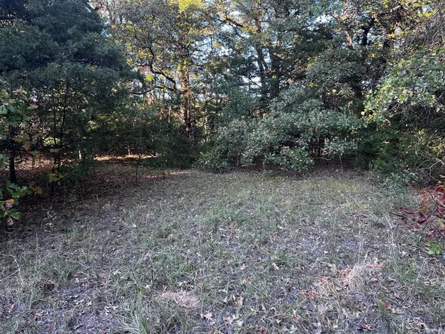 a view of a yard with a tree