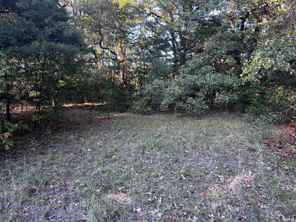 2620 County Road 2620 Ivanhoe, TX 75447 - Photo 17 of 24 a view of a yard with a tree
