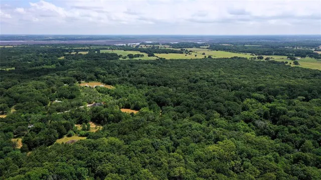 an aerial view of a lush green valley
