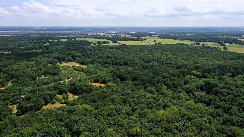 2620 County Road 2620 Ivanhoe, TX 75447 - Photo 2 of 24 an aerial view of a lush green valley
