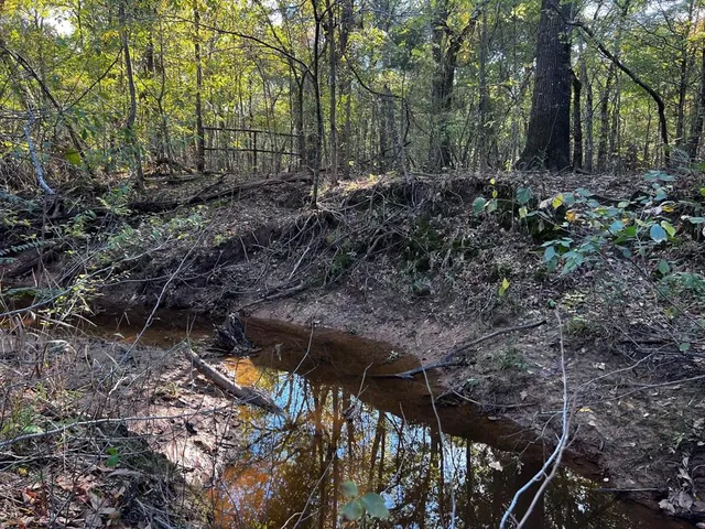 $888,087 | 2620 County Road 2620, Ivanhoe, TX 75447