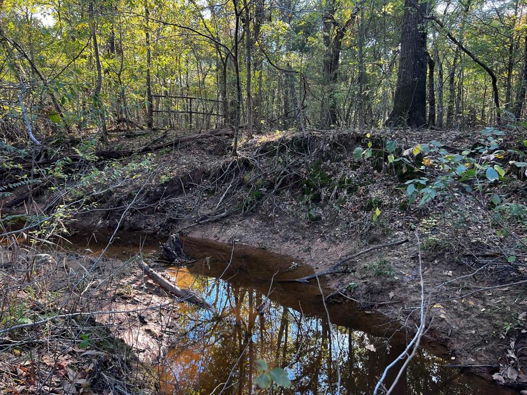 2620 County Road 2620 Ivanhoe, TX 75447 - Photo 24 of 24 a view of backyard with green space
