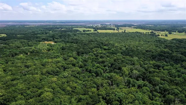 an aerial view of a lush green forest with houses