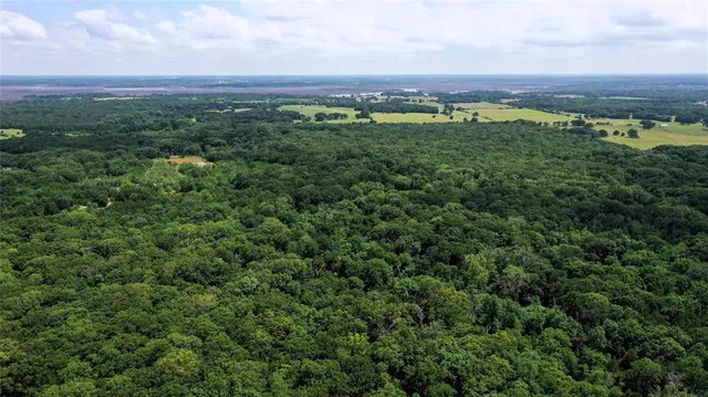an aerial view of a lush green forest with houses