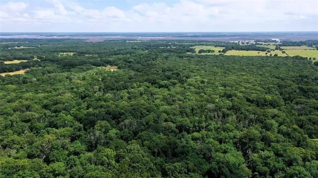 an aerial view of a lush green valley