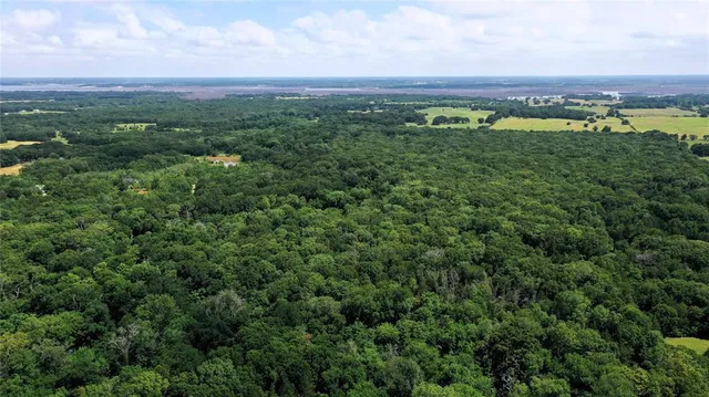 an aerial view of a lush green forest with houses