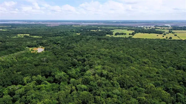 a view of a green field with an ocean