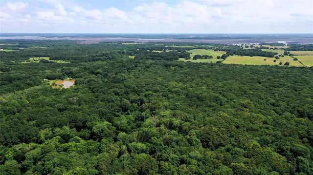 a view of a green field with an ocean