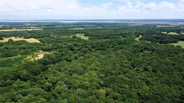 an aerial view of residential houses with outdoor space and trees