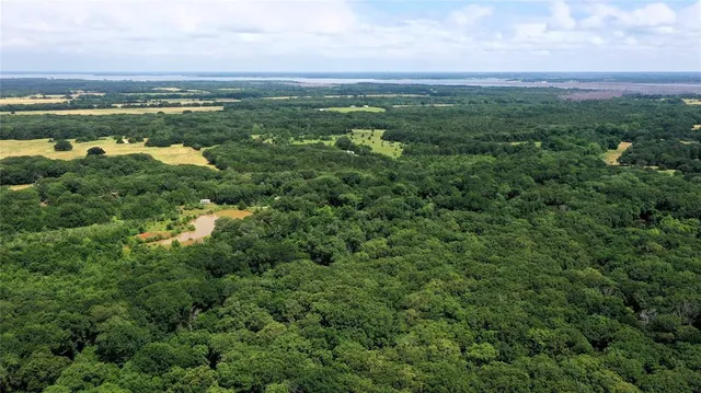 an aerial view of residential houses with outdoor space and trees