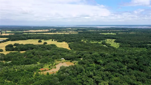 an aerial view of ocean with residential houses with outdoor space and trees