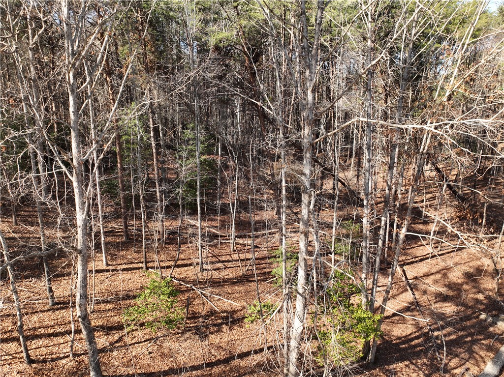 Tract B Old Unity Road Westminster, SC 29693 - Photo 9 of 12 This tranquil wooded lot provides a serene natural backdrop, perfect for a private retreat.