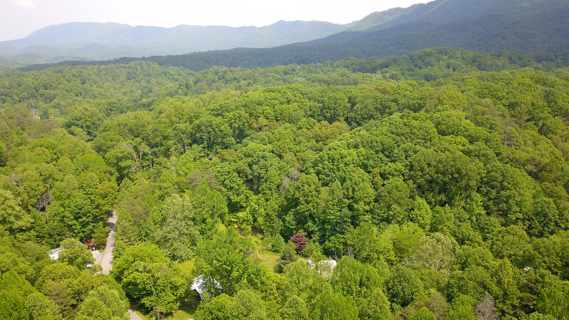 2035 Old Chilhowee Road Seymour, TN 37865 - Photo 28 of 29 LOCATED AT THE FOOT OF THE MTNS.
