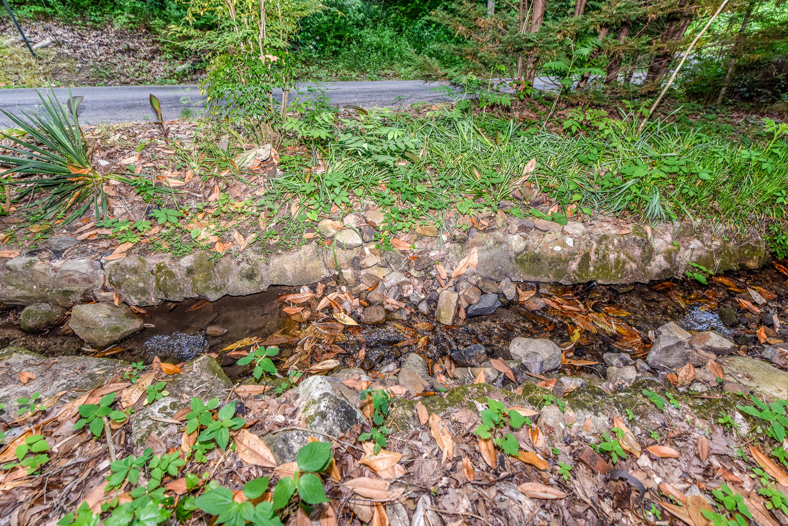 2035 Old Chilhowee Road Seymour, TN 37865 - Photo 9 of 29 Creek