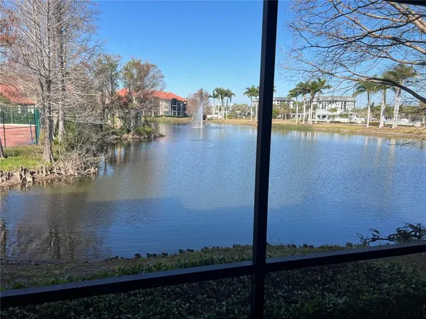 a view of a swimming pool with a patio