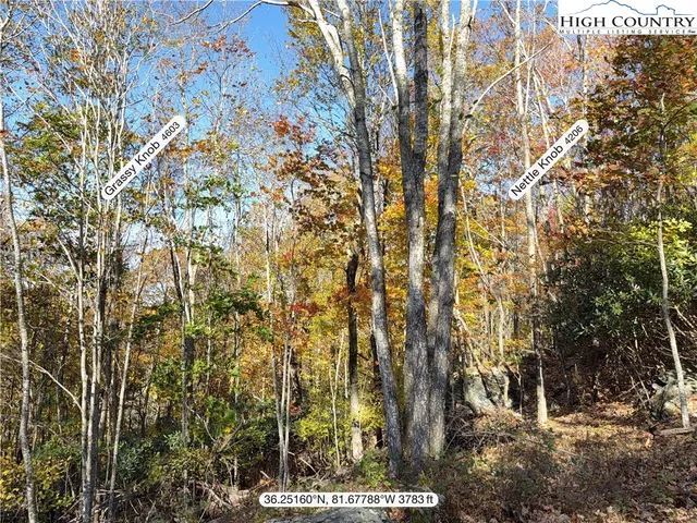 a view of a street with a building in the background
