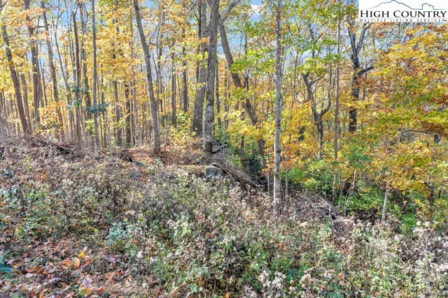 a view of swimming pool with a yard and trees