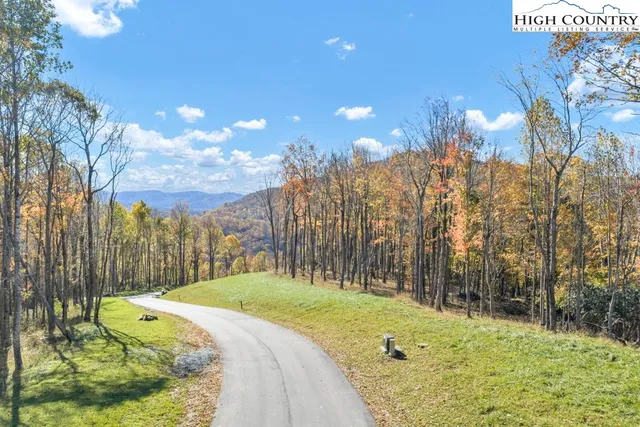 a view of backyard and tree