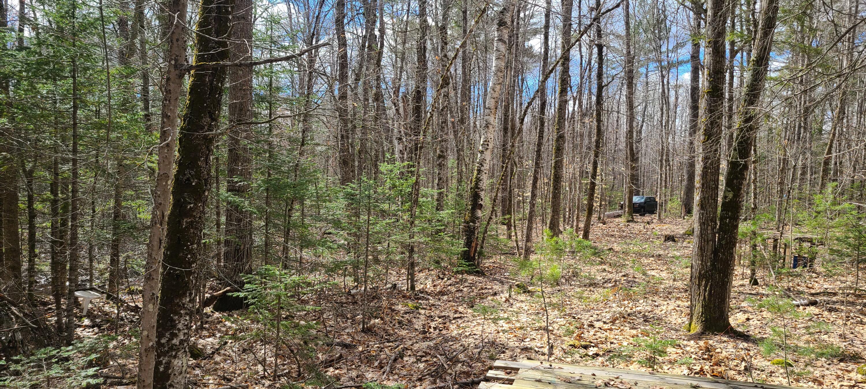279 Etna Pond Road Carmel, ME 04419 - Photo 10 of 12 20220420_094724