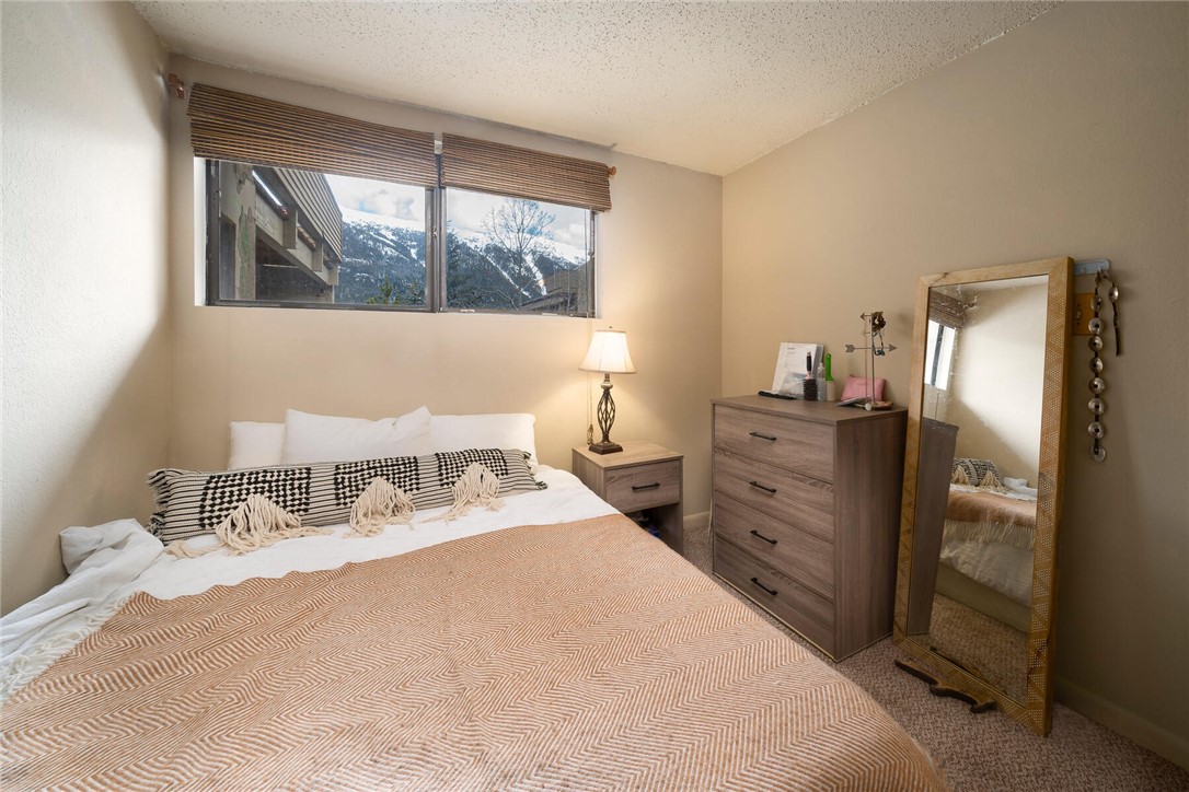 760 Copper Road, Unit 110 Frisco, CO 80443 - Photo 9 of 35 Gallery Image 9