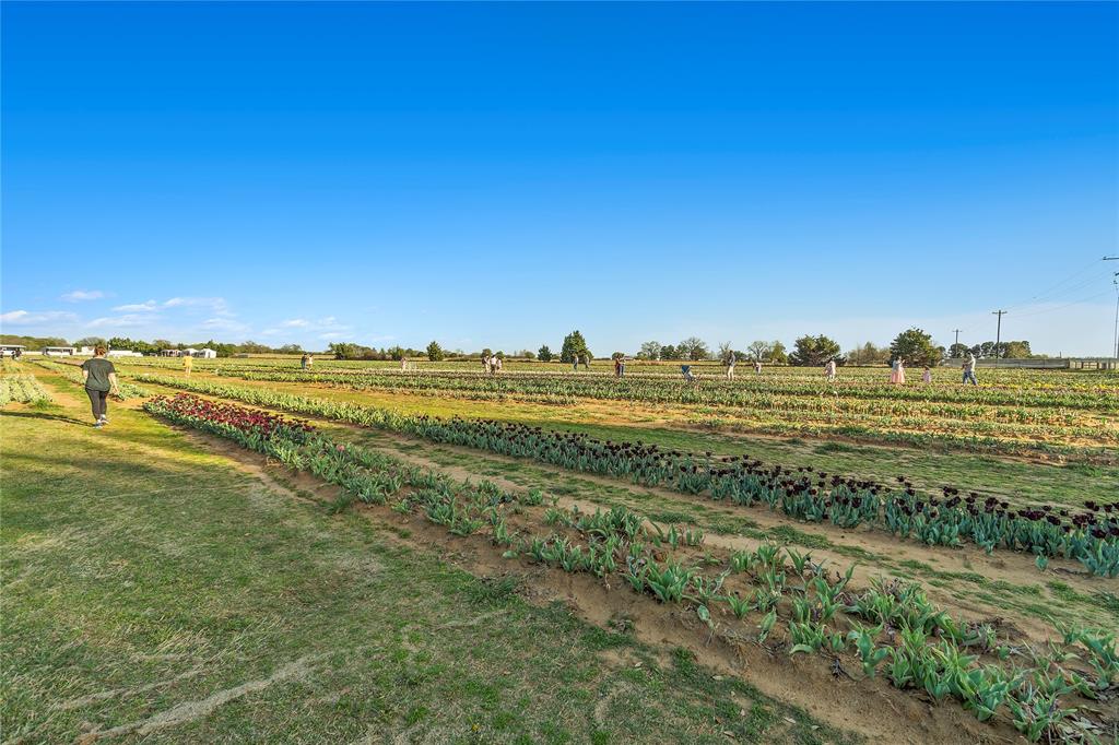 14062 Kempt Drive Pilot Point, TX 76258 - Photo 9 of 11 a view of an ocean and beach