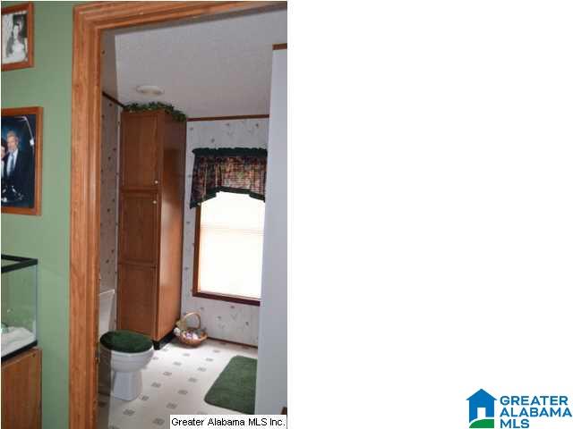 401 Old Settlement Road Oneonta, AL 35121 - Photo 6 of 28