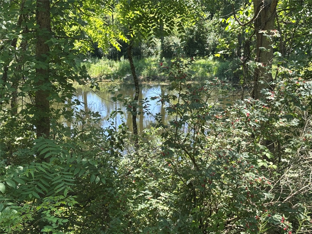 748 Sujan Road Waverly, NY 14892 - Photo 30 of 41