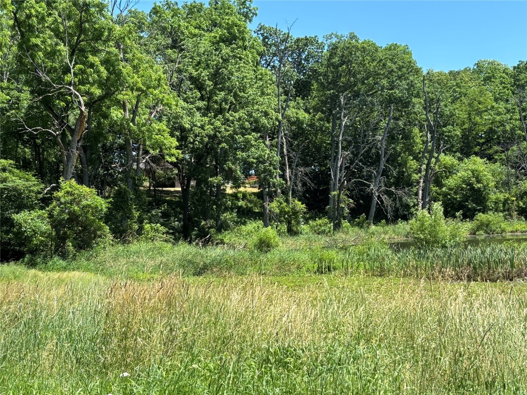 748 Sujan Road Waverly, NY 14892 - Photo 40 of 41