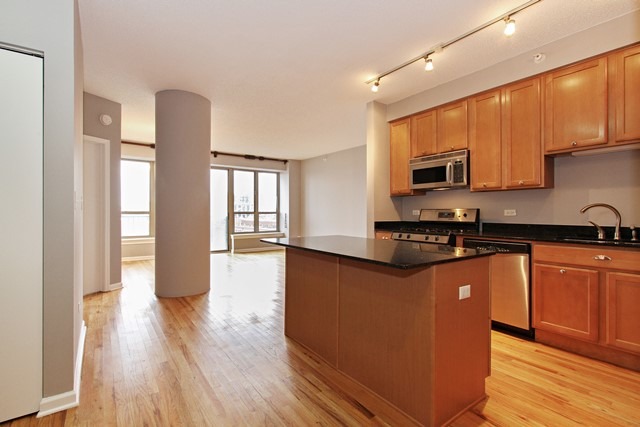 1717 South Prairie Avenue, Unit 709 Chicago, IL 60616 - Photo 5 of 12